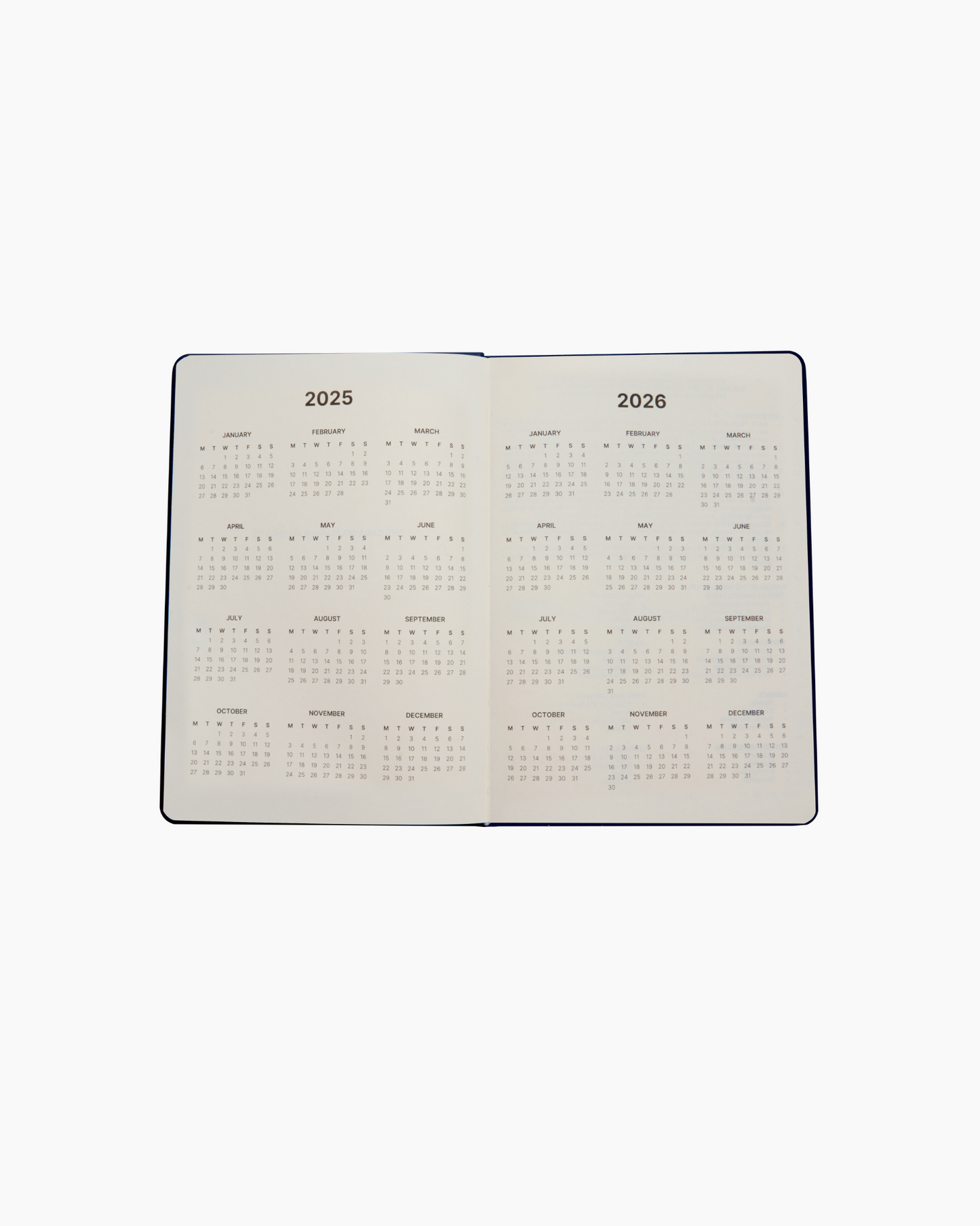 Dated 2025 Planner in Blush