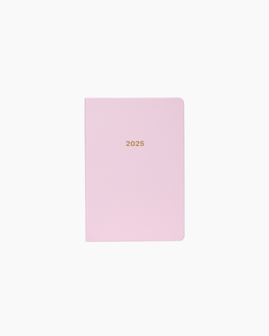 Dated 2025 Planner in Blush