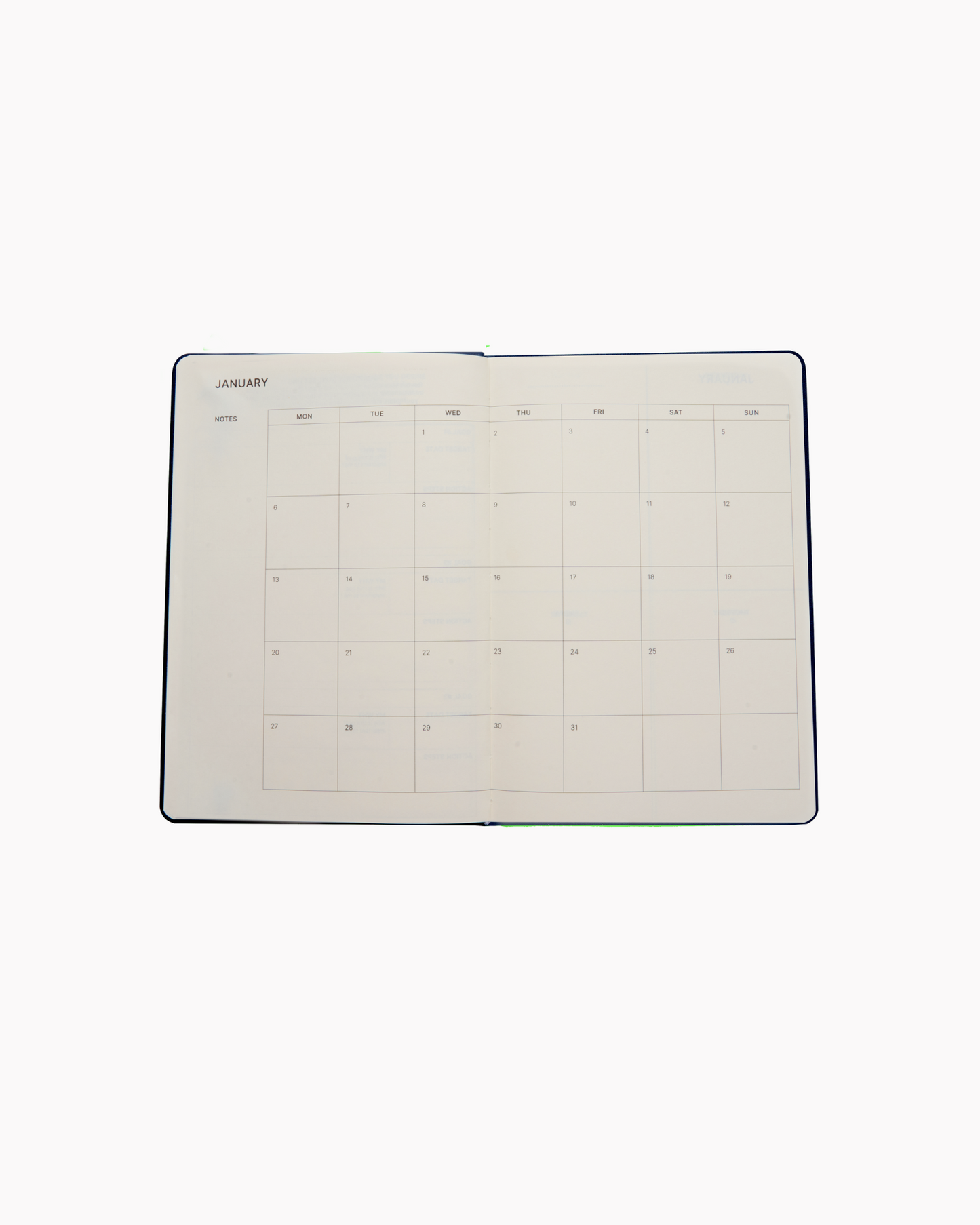 Dated 2025 Planner in Blush