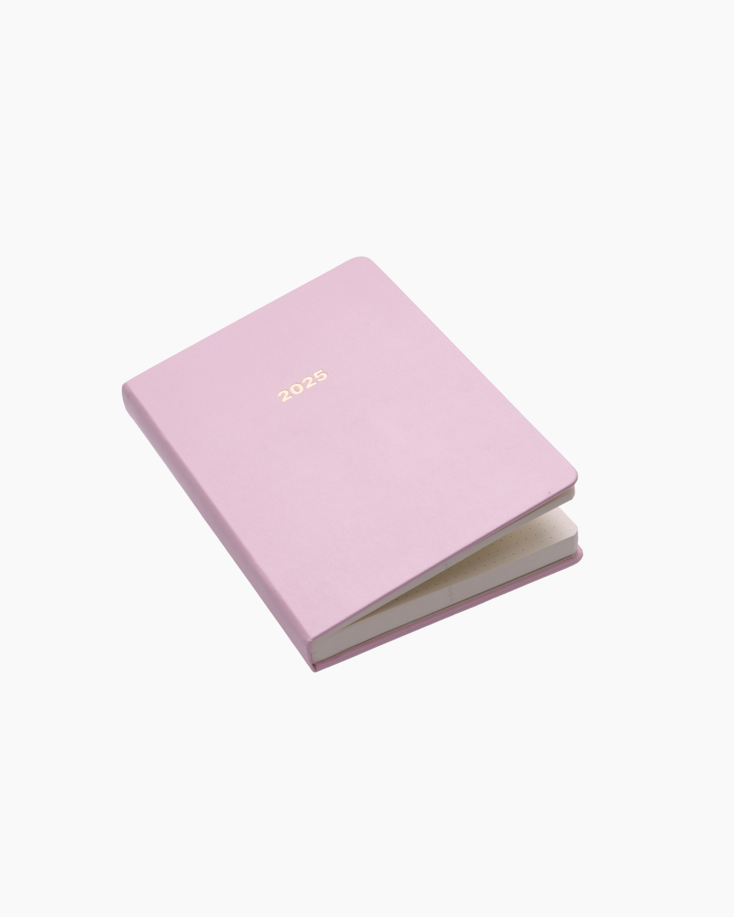 Dated 2025 Planner in Blush