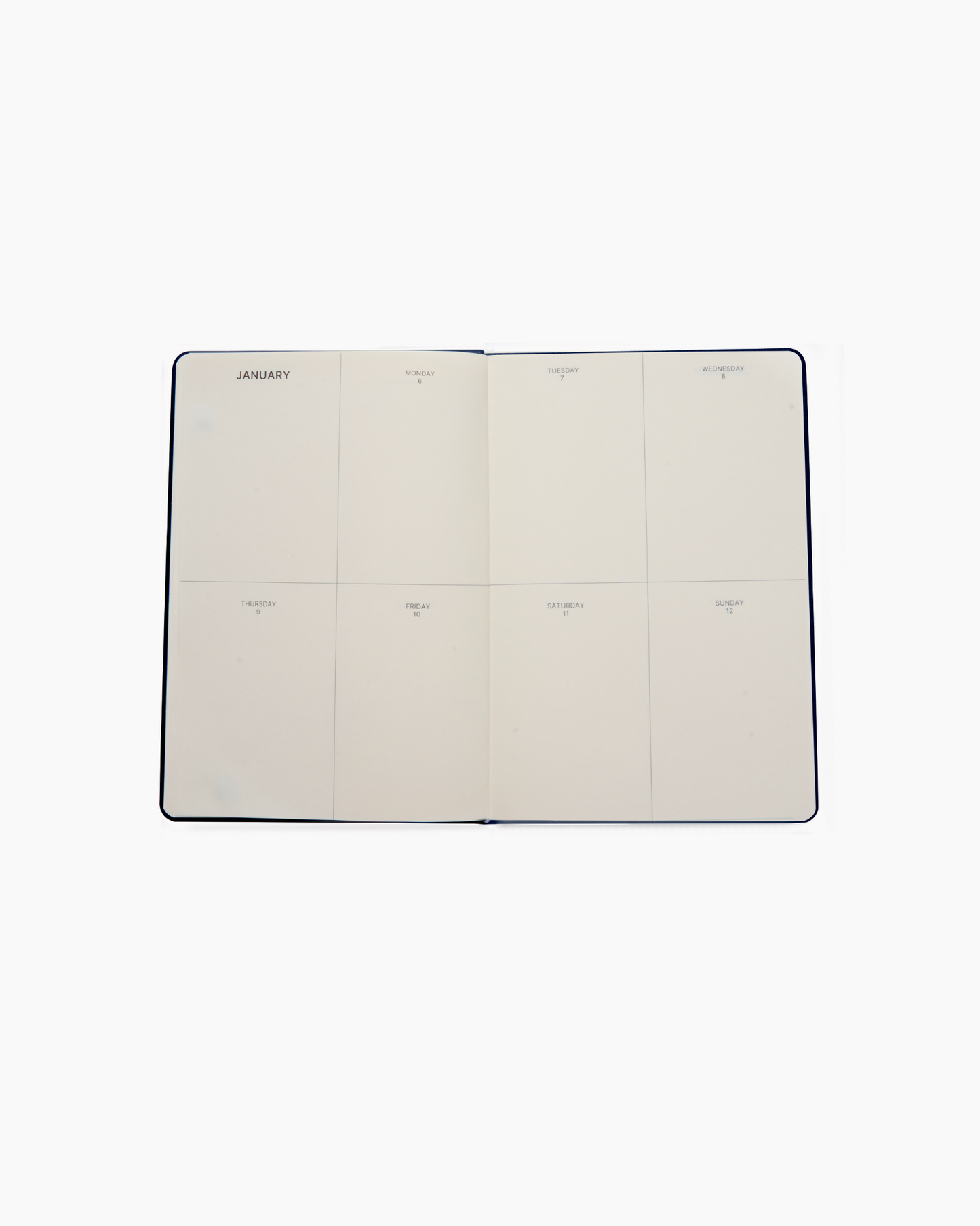 Dated 2025 Planner in Blush