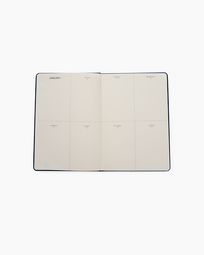 Dated 2025 Planner in Blush