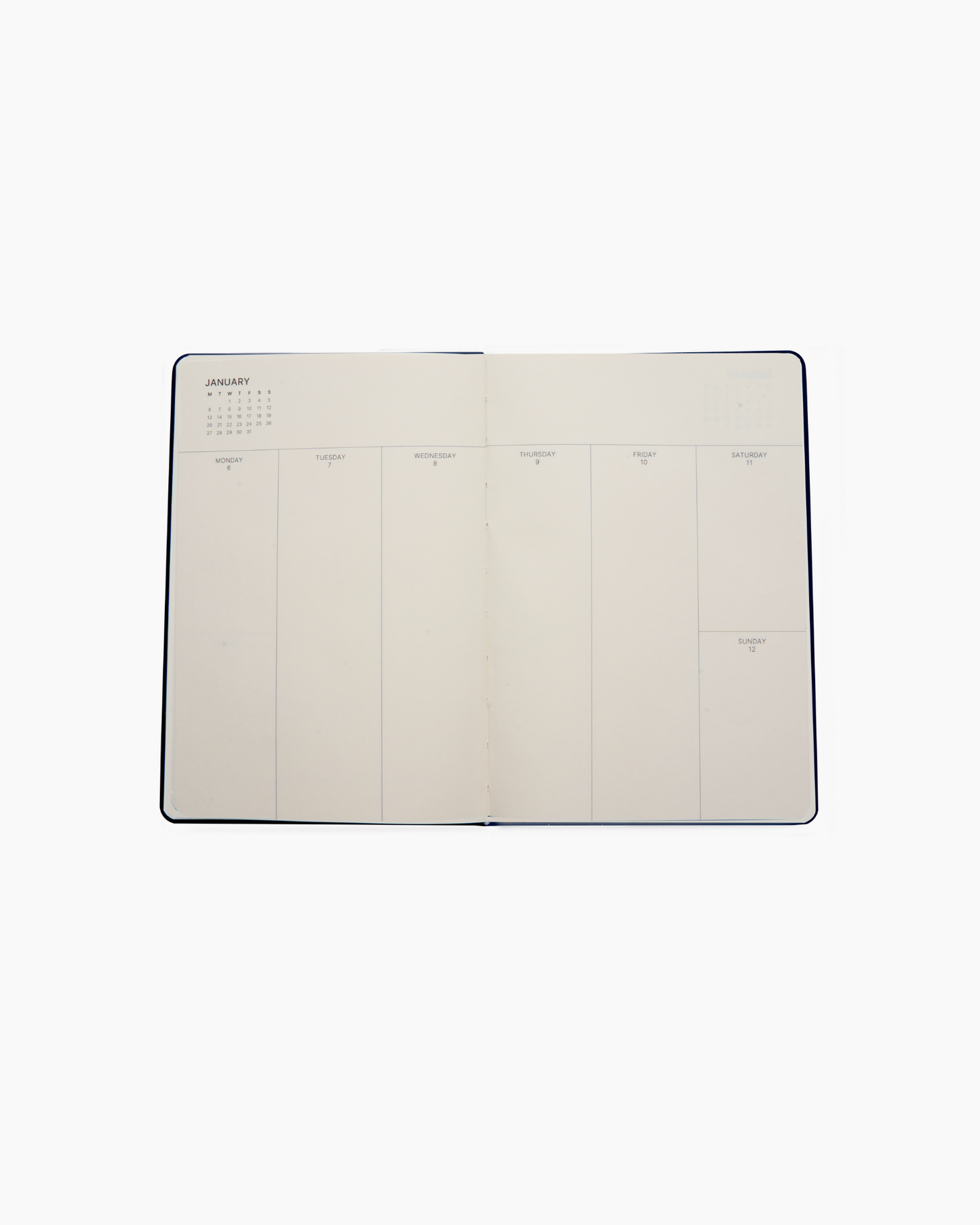 Dated 2025 Planner in Blush