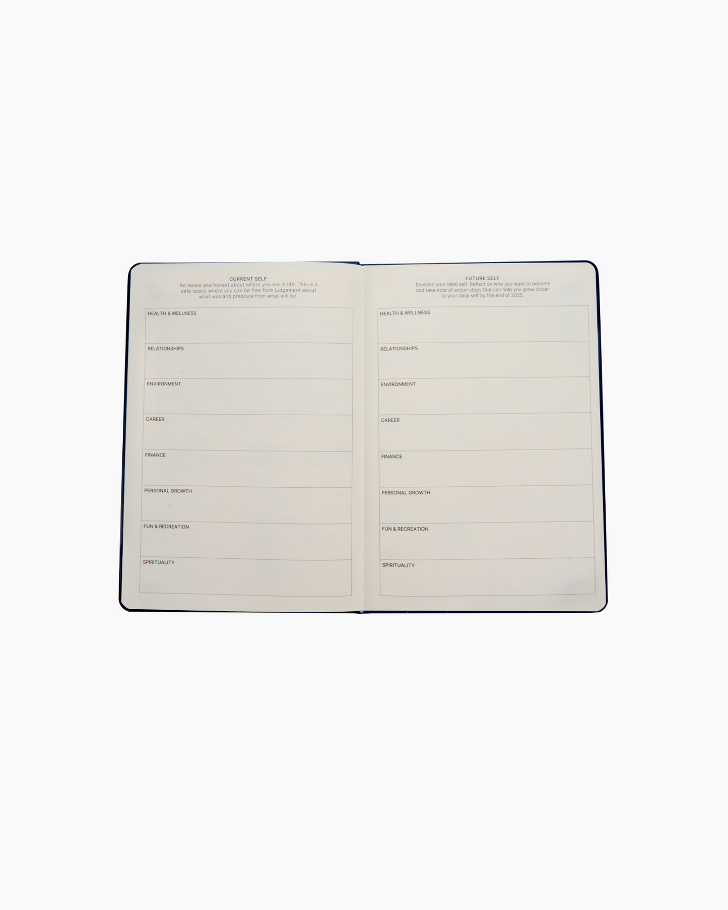 Dated 2025 Planner in Blush