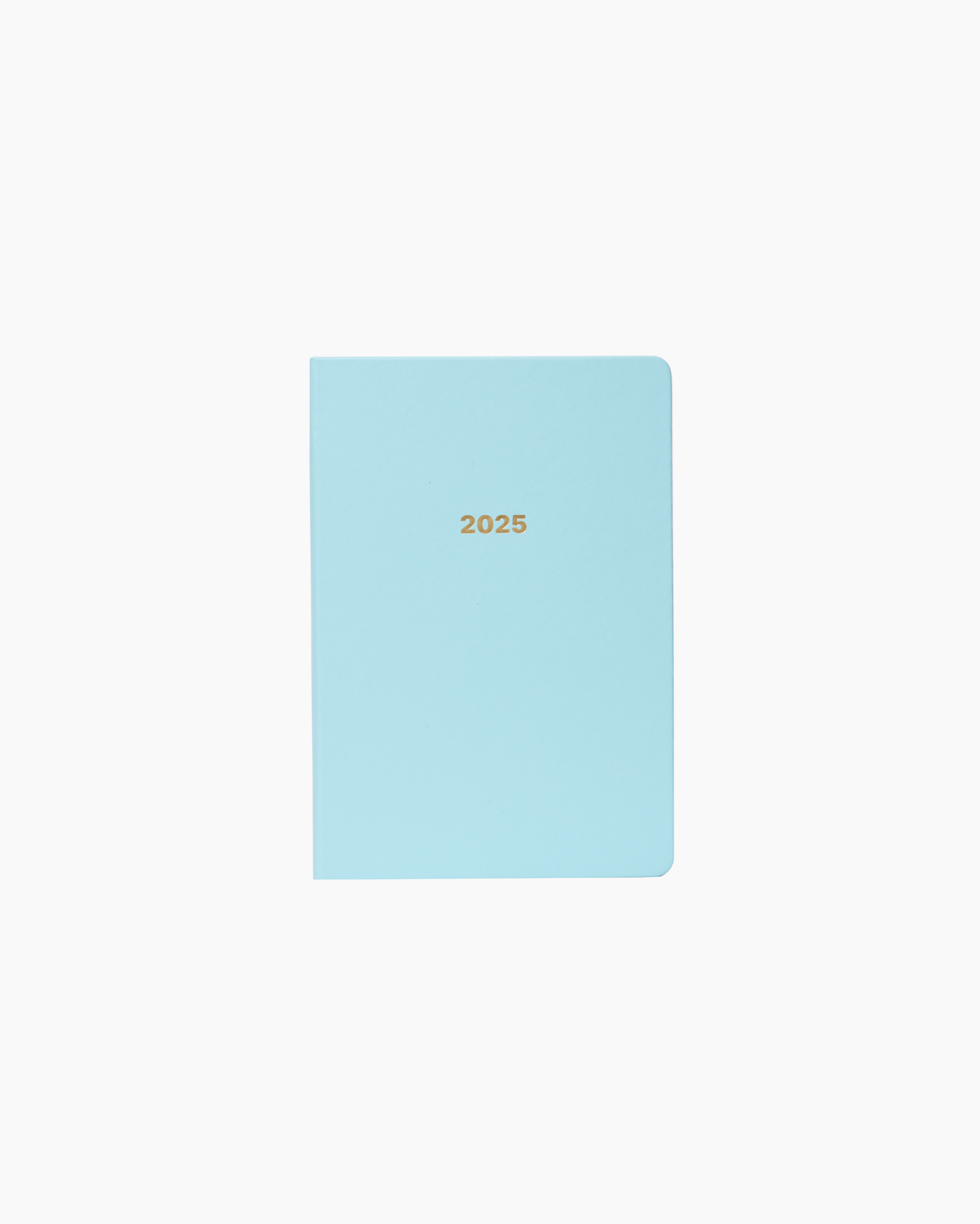 Dated 2025 Planner in Sky