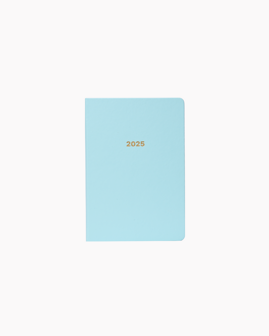 Dated 2025 Planner in Sky