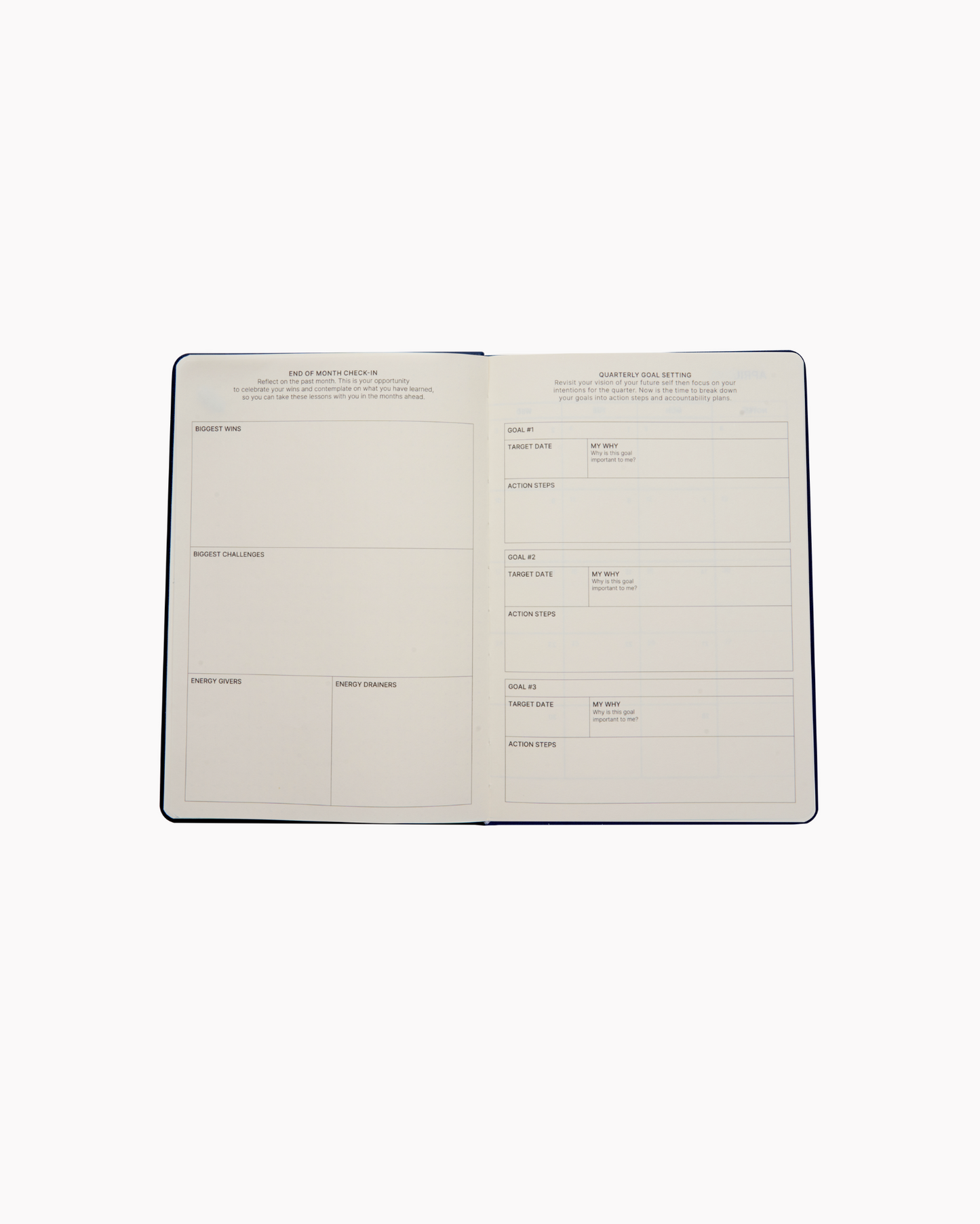 Dated 2025 Planner in Blush